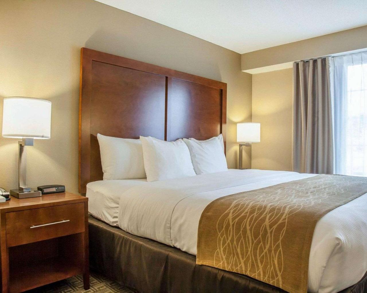 Comfort Inn & Suites Sturbridge-Brimfield Exteriér fotografie